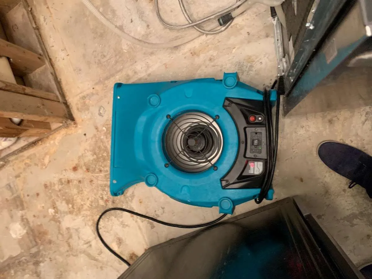 Air mover drying equipment for Mold Remediation & Removal in Carlsbad